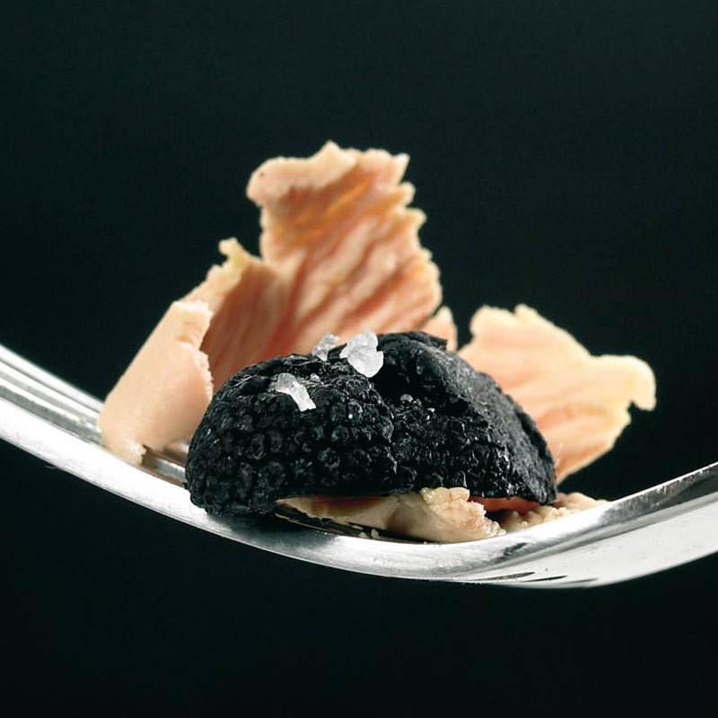 Brisure de Truffe Noire du Périgord - Vente truffes noires petit prix